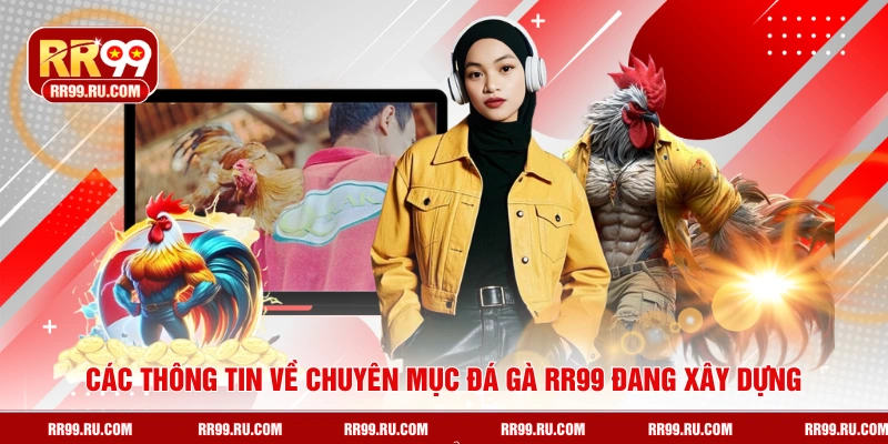 Các thông tin về chuyên mục đá gà RR99 đang xây dựng