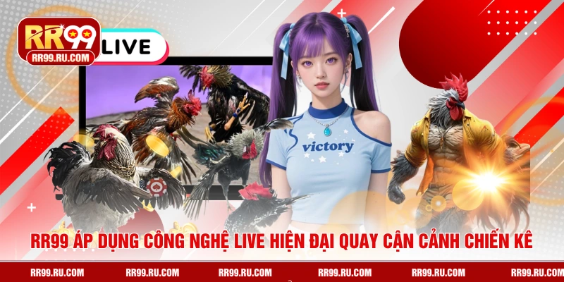 RR99 áp dụng công nghệ live hiện đại quay cận cảnh chiến kê